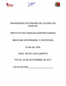 Ejempo plan de vida INSTITUTO DE CIENCIAS AGROPECUARIAS