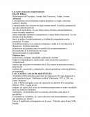 Las cuatro causas del comportamiento