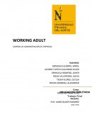 Como es el nuevo Derecho tributario