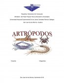 Artropodos Universidad Nacional Experimental De los Llanos Centrales Rómulo Gallegos