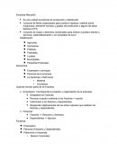 Empresa mercantil