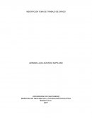 Articulo revisión instrumentadores