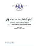 ¿Qué es neurofisiología?