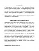 IMPORTANCIA DE LESGISLAR