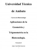 Aplicaciones de la Geometría y Trigonometría en la Biotecnología.
