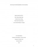 INVESTIGACIÓN MICROEMPRESA DE SUDADERAS