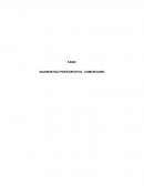 FASE I DIAGNOSTICO PARTICIPATIVO - COMUNITARIO