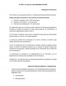 EL NIÑO Y EL ADULTO CON SINDROME DE DOWN Etiología de la trisomía 21