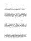 Como se da el gran Impacto ambiental