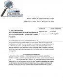 Asunto: informe de inspección técnica al lugar