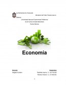 ¿Cuáles son los aspectos más importantes que el estado debe cuidar de la economía para lograr un desarrollo económico?