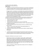 El negocio “Lavana”