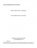 TEMA: ADMISTRACION DE LA CAPACIDAD