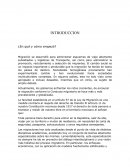 Pia de sociales ¿Qué ES LA MIGRACION?