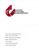 Aprendizaje y conducta adaptativa II