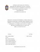 PROCESO DE ATENCIÓN DE ENFERMERÍA A FAMILIA UBICADA EN COMUNIDAD ANGOSTURITA