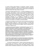 DIAGNOSTICO La Escuela Primaria Urbana Matutina