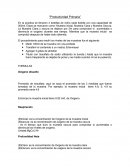 Practica Productividad Primaria