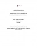 CASO NEUMATICOS RAPIDILLO