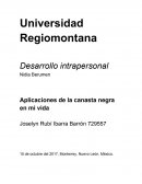 Aplicaciones de la canasta negra en mi vida
