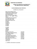 Administración de empresas. Línea de proyección social