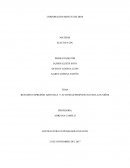 RESUMEN EXPRESIÓN ARTISTICA Y ACTIVIDAD PROPUESTAS PARA LOS NIÑOS