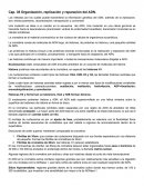 Cap. 35 Organización, replicación y reparación del ADN