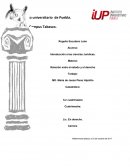 Relación entre el estado y el derecho- Componentes del Estado