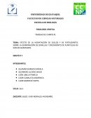 TEMA: EFECTO DE LA HIDRATACIÓN DE SUELOS Y DE FERTILIZANTES SOBRE LA GERMINACIÓN DE SEMILLAS Y CRECIMIENTO DE PLÁNTULAS EN SUELOS QUEMADOS.