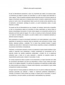 Reflexión sobre espíritu emprendedor