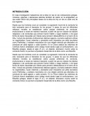 Etica de los griegos, romanas, egipcias