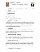 SISTEMAS DE GESTIÓN DE LA CALIDAD EMPRESA: EL UNIVERSO DEL CAUCHO