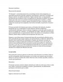 Memorias del subsuelo La narración