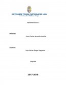 PSICOPEDAGOGIA Disgrafia