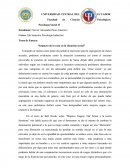 COMO ES EL IMPACTO DE LA DISCRIMINACIÓN RACIAL EN LA MUJER