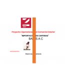 Elaboración de un negocio Empresa Bao SAC