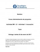 Administración de proyectos. Actividad: MII - U1 - Actividad 1. Innovación
