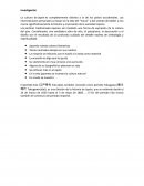 El arte japones. Investigación