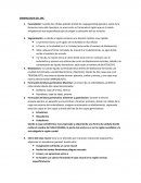 Embriologia del snc