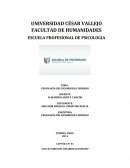 Informes PSICOLOGÍA DEL DESARROLLO HUMANO