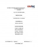 Proyecto Final. Gestion de la calidad