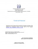 FUNCIÓN DE LA PRODUCCIÓN La acción productiva