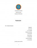 Nutircion en la persona