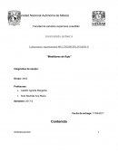 Laboratorio experimental MULTIDISCIPLINARIO II “Medidores de flujo”