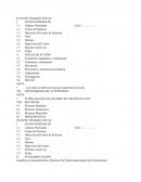 Se debe especificar las actividades por cada línea de acción