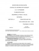 Plan anual de maternal