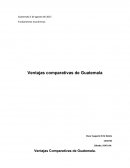 Fundamentos Económicos. Ventajas Comparativas de Guatemala