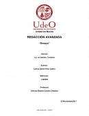Ensayo Redaccion avanzada