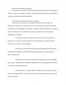 PRODUCTIVIDAD EN LA OBRA