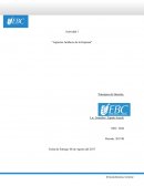 Actividad 1 - Aspectos juridicos de la empresa